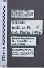 Etiketten zu Silesis indicus (NHMW-ZOO-COL-0008777)